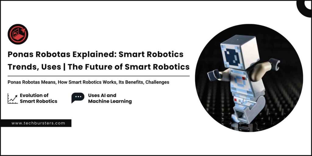 Feature image for Ponas Robotas blog